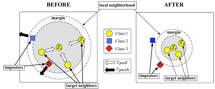 Diagram illustrating metric learning neighborhoods
